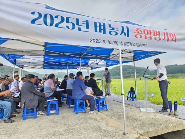 2025년 벼농사 평가회 개최 모습