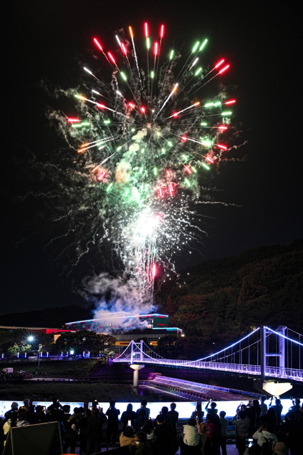 지난해 "대전효문화뿌리축제" 야간 불꽃행사 모습