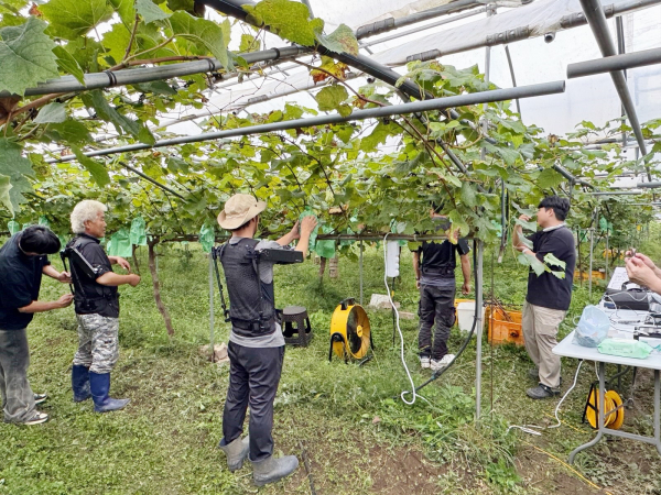 지난달 30일, 관내 포도재배농가에서 웨어르블로봇 ‘엑스블 숄더’를 착용하고 생체역학적 평가를 진행하고 있다.