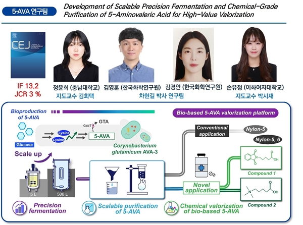 충남대-화학연-이화여대 연구팀(위)과 연구 모식도