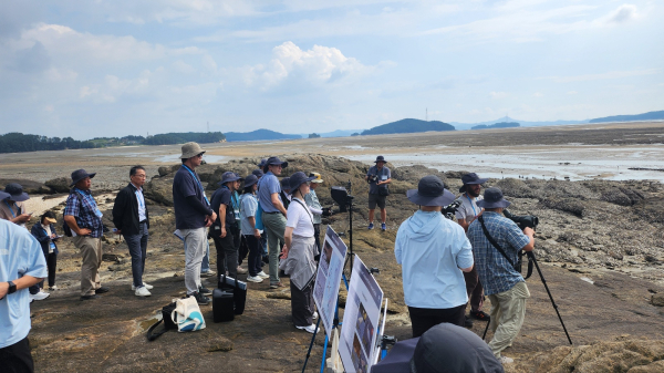 지난 9월 30일 가로림만 일원에서 진행된 갯벌 현지실사 모습