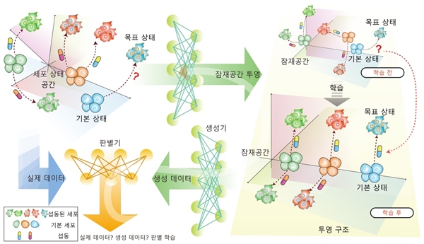 첨부2. 잠재공간 방향 벡터 기반 세포 전이 모델링