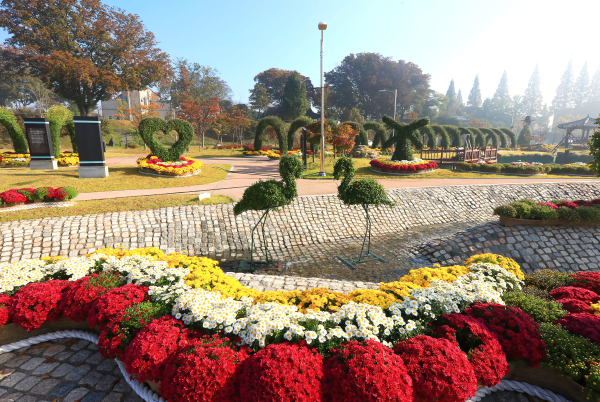 지난 2024년 국화 축제 사진