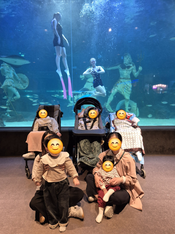 특수교육대상영아와 순회교육대상학생을 대상으로 현장체험학습