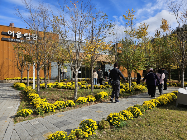 27일 고객들이 어울림관 앞에서 춘천시 시민꽃정원 조성사업을 통해 조성된 국화꽃 정원을 둘러보며 가을의 향기를 즐기고 있다.