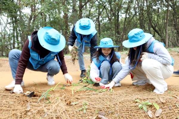 지난 25일 송악읍 팔아산 송암공원 일원에서 지역 환경 개선을 위한 쉼터 가꾸기 활동으로 꽃나무를 식재했다
