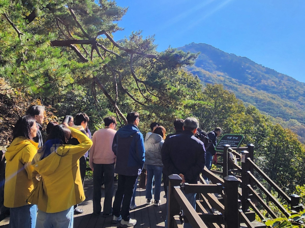 지역 내 스트레스 고위험군 직장인 대상으로 힐링 워크숍 운영