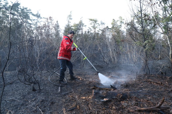 올해 3월 이원면 산불 진화 모습