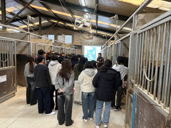 한국경마축산고 복용승마장 견학 모습