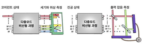 실험방법 모식도