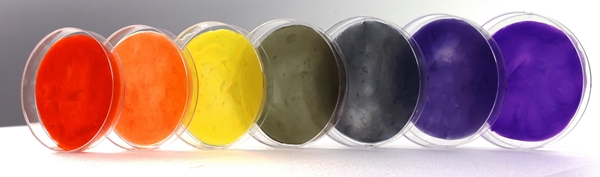 첨부2.색이 입혀진 무지개색 박테리아 셀룰로오스