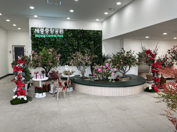 세종중앙공원 내 세종리 카페건물 1층 로비에 조성된 ‘빛트리 포토존’