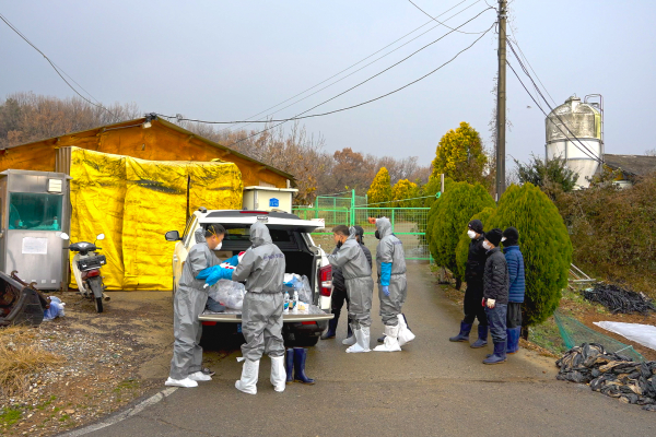 양돈농가 방역 모습