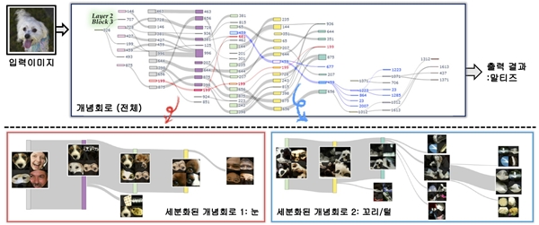 KAIST 연구팀이 제안한 개념회로에 대한 개요