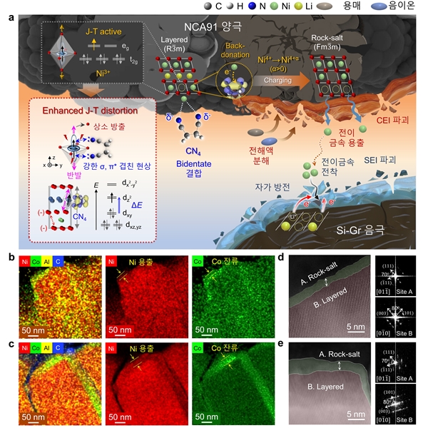 고니켈 양극 표면에서의 CN4 분자와 Ni3+의 리간드 배위 및 양극 구조적 열화 과정에 대한 모식도