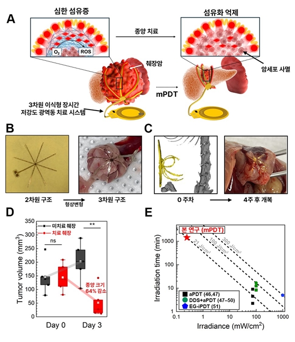 3차원 장시간, 저강도 광역동치료 시스템 개요