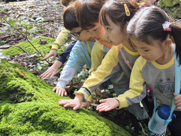 정기 숲놀이 교육에 참여한 만 3~5세 아이들이 숲속 바위에 자란 이끼를 손으로 만지며 촉감을 느껴보는 모습.