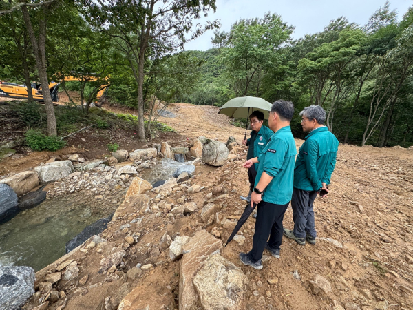 서산시가 지난 7월 집중호우로 인한 산림 피해를 확인하기 위해 현장을 점검하는 모습
