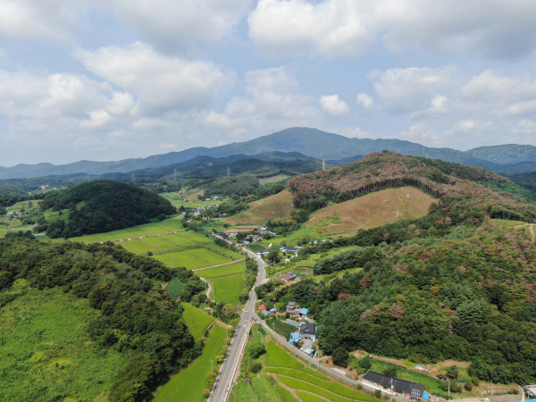 소나무재선충병 확산 방지를 위한 작업이 진행되고 있는 현장 모습