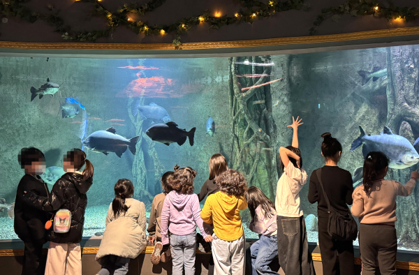 ‘겨울방학 문화 프로그램’ 진행 모습