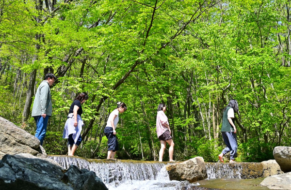 한국산림복지진흥원 소속기관 국립진안고원산림치유원에서 참가자들이 산림문화 프로그램에 참여하고 있다.