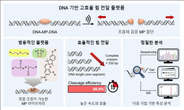 DNA 기반 고효율 힘 전달 플랫폼 개념도