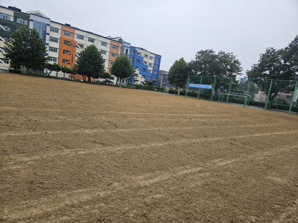 학교 운동장 관리작업 진행 완료