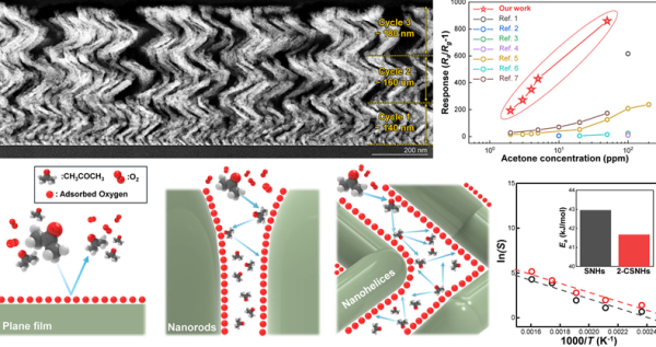 심영석 교수 연구팀 연구의 그래픽 초록(Graphic Abstract)