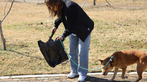 충남아산FC 사무국 직원, ‘블루포우’ 펫로깅 활동 모습