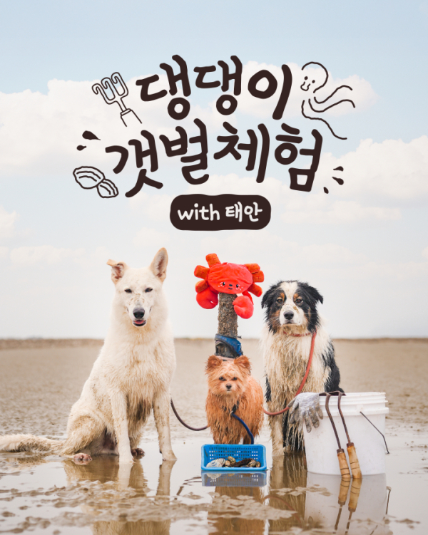 2026년 사업홍보물(갯벌체험-댕대 포스터)