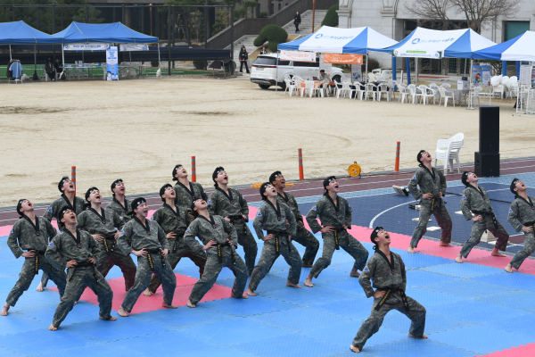 육군태권도 시범단 사진