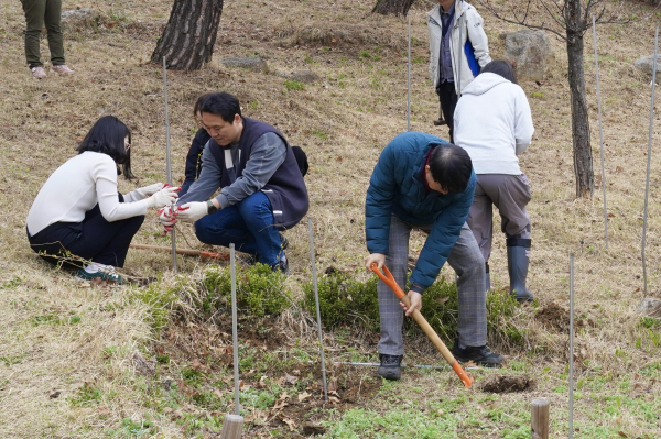 직원들이 칠자화를 식재하고 있다.