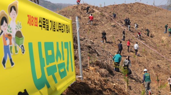 추동 일원에서 진행된 나무심기 행사 모습