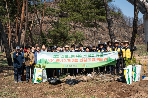국립산림치유원과 한국교통안전공단, 길안면 만음1리 주민들이 함께 나무를 심고 있다.