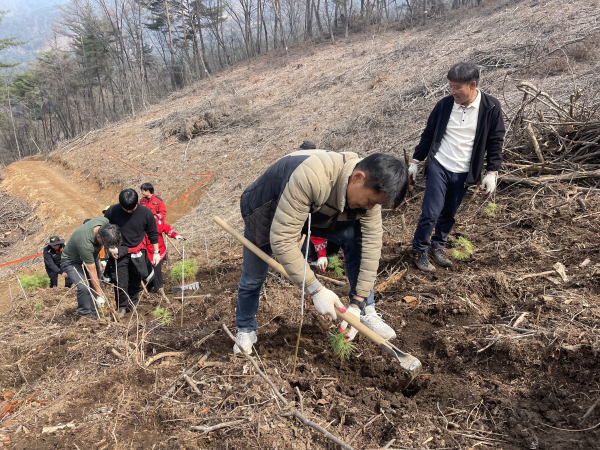 박석희 국립춘천숲체원장이  유관기관 직원과 짝을 이뤄 척박한 산등성이에 정성껏         묘목을 심으며 ‘상생의 숲’을 일구고 있다.