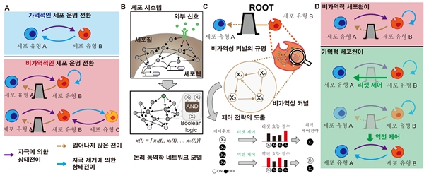 비가역적 세포 상태천이의 원인을 규명하고 제어하는 루트 프레임워크